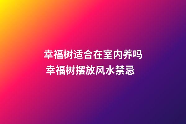 幸福树适合在室内养吗 幸福树摆放风水禁忌